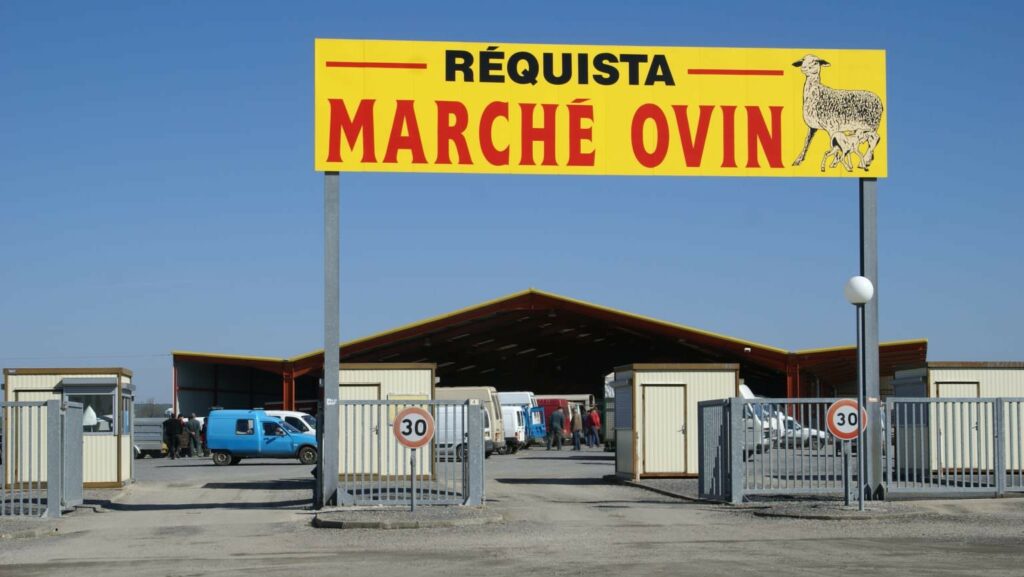 Photo du marché ovin de Réquista, marché essentiel pour le secteur économique du réquistanais, premier canton moutonnier de France. Les agriculteurs s'y pressent tous les lundis. Découvrez tout notre programme pour connaître nos intentions sur le prochain mandat de notre liste Ensemble pour Réquista, avec pour tête de liste Michel Laurens, nous restons à votre écoute pour une commune à votre image